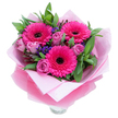 A lively, joyful hand-tied bouquet seen against a clean white background, built around three bold fuchsia-pink Gerbera daisies that immediately catch the eye. Each Gerbera opens wide with radiating, silky petals and a strong dark centre that gives a beautiful, dramatic contrast to the surrounding softness. Around these focal blooms sit several fresh roses in a muted lavender-pink or dusty-rose tone; their petals are still gently furled, suggesting the buds are newly opened and full of delicate, velvety texture. Scattered throughout are small clusters of vivid purple statice or limonium, their papery, clustered florets adding a playful spark of cool colour and a lightly airy texture that offsets the larger blooms. Deep green foliage - broad, glossy leaves that read like salal or eucalyptus - frames the composition, lending a garden-fresh crispness and a subtle herbal scent that balances the sweeter rose perfume. The bouquet is carefully wrapped for gifting: an inner layer of soft, matte pale-pink tissue provides a gentle cushion while an outer sheet of translucent, slightly crinkled fuchsia-pink cellophane adds a subtle shimmer and reinforces the pink palette. The wrapping is neatly folded to show considered preparation, and the clear rim of a glass vase peeks out at the base, indicating the arrangement is ready to be displayed. Bathed in soft morning light, this cheerful grouping feels like a bright, affectionate message - perfect for birthdays, Mother's Day, anniversaries, or simply to lift someone's spirits in Tufnell Park, from Fortess Road to Dartmouth Park.