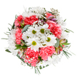 This bouquet unfurls like spring awakening in Tufnell Park-a celebration of new beginnings brought to life by a careful hand. At its core, crisp white daisies with lime-green hearts anchor the design, surrounded by joyful coral-pink carnations whose ruffled petals infuse the composition with warmth and movement. Clouds of baby's breath weave a dreamy web among the blooms, their lightness balanced by eucalyptus leaves that release a fresh, green scent reminiscent of the area's parks after rain. Hidden between, slender buds of alstroemeria peek out, tinged gently in rosy and mauve streaks, catching the eye with quiet promise. Deeper green foliage shapes the bouquet, accentuating its softly rounded form and lending a sense of generous abundance. The colour palette-the white, coral, and spring green-radiates cheer, making this floral medley ideal for birthdays, congratulations, thank-yous, or brightening a home along Campdale Road. The bouquet's overall effect is one of tranquil exuberance: soothing, hopeful, and rich with local character. Against a pristine white background, every detail stands out-petals, leaves, and stems woven with expertise-making this arrangement the perfect choice for editorial showcases, thoughtful local gifts, or fresh floral delivery across the Tufnell Park community.