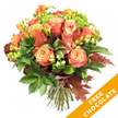 A hand-tied, autumn-inspired bouquet photographed against a clear, crisp white background so every warm tone and texture reads like a memory of the season. At the heart of the arrangement sit large, fully opened roses whose centers melt from soft peach and apricot into deeper coral and russet at the outer petals; their ruffled faces catch the light with a satin sheen. Pockets of bright orange and yellow freesia lift the composition with slender stems and delicate, fragrant trumpets, while clusters of small, bright green Santini chrysanthemums or similar textured filler give a fresh, almost dewy counterpoint to the warm palette. Glossy, dark green leaves form a generous base-broad blades and fine sprigs that deepen the midtones-while lime-green hypericum berries punctuate the bouquet with cheerful, tactile beads. Interspersed oak leaves in deep reddish-brown and burnt copper lend unmistakable autumnal structure, their lobed silhouettes echoing fallen leaves on a river path. The stems are neatly trimmed and gathered, tied with natural jute or raffia so the tied base is visible and ready for a vase. Soft, natural lighting casts gentle shadows that emphasize petal layers and the waxy sheen on berries. A bright diagonal orange banner overlays the bottom right corner with bold white text reading FREE CHOCOLATE, indicating a limited-time offer alongside the floral gift. This arrangement feels like the warmth of a late-afternoon walk-earthy, spicy, and generous-and is designed to be sent for Thanksgiving, an autumn birthday, or simply to bring seasonal comfort into a home in and around Tufnell Park.