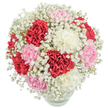 Emanating gentle elegance, this Tufnell Park floral bouquet is a poetic interplay of bold crimson, soft rose, and sweet ivory carnations, all cocooned within a cloud of delicate white baby's breath. The ruffled carnation petals, reminiscent of silk, unfurl in bountiful, rounded clusters, their hues shifting from the rich reds emblematic of romantic evenings on Fortess Road to the pastel pinks and serene white tones found in local spring celebrations. The baby's breath weaves a gossamer veil through the arrangement, diffusing and highlighting the intensity of each bloom like a light morning mist rolling over Dartmoor Street gardens. The clear glass vase grounds this exuberant display, with submerged green stems lending a sense of freshness and simplicity. Photographed from above against a clean, white background, the composition glows with natural brightness, every flower's detail captured with the clarity of a memory made in high summer. Ideal for sending love, gratitude, or marking a special day for someone in Tufnell Park or the wider North London area, this bouquet whispers hope and happiness-a heartfelt gesture crafted with care and deep local expertise.