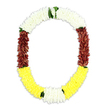 A richly detailed funeral garland, shaped like an open oval or horseshoe, is pictured against a seamless white background, the flowers so densely threaded that the entire piece appears plush and continuous. Along the upper curve, small white blossoms cluster together like tiny cushions, reminiscent of compact chrysanthemum or jasmine florets, giving this section a serene, almost weightless appearance that conveys peace and spiritual clarity. As the garland extends down both sides, the colour deepens into a profound maroon-brown, the petals more textured and layered, lending a sense of formality, reverence, and ancestral connection to the design. The lower arc then shifts into a ribbon of bright yellow flowers, soft-edged and radiant, introducing a gentle brightness that suggests remembrance wrapped in gratitude and the first light after sorrow. Threaded between these panels are short, lively touches of green leaves, subtle yet essential, separating the colours and adding a whisper of garden freshness. The craftsmanship is precise: each petal appears carefully positioned, ensuring that the garland maintains an even thickness and a graceful drape from end to end. Captured in calm, neutral lighting, every hue remains true, with no distractions from the quiet beauty of the flowers themselves. This type of garland could be laid as a tribute at a funeral service in Tufnell Park, carried through the peaceful paths near Tufnell Park playing fields, or placed by a memorial photograph at home. It reflects the thoughtful work of local florists who understand how flowers can speak gently when words feel too small, offering comfort, ritual, and a dignified farewell.
