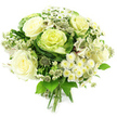 A hand-tied bouquet in serene shades of white, cream, and green is shown against a simple white background, making every detail of the flowers and foliage stand out clearly. The arrangement is full and rounded, with several large, creamy white roses opening at its heart, their soft, layered petals forming generous cups of ivory that hint at a gentle fragrance and classic romance. Tucked amongst the roses are distinctive heads of ornamental kale, their tightly ruffled centres washed in pale green that gradually deepens into darker outer leaves, giving the bouquet a contemporary, garden-inspired twist and a pleasing contrast of smooth petals against crisp, veined foliage. Fine clusters of tiny white blossoms, including spray chrysanthemums and similar daisy-like flowers, are scattered throughout; their numerous slender petals surround small yellow-green centres that echo the tones of the kale and greenery, creating a sense of lightness and movement. Spiky, star-shaped astrantia blooms, in subtle greenish-white hues, peek between the larger flowers on thin, elegant stems, adding intricate texture and a touch of wild meadow charm. Around this floral core, lush green foliage in varied shapes and tones fans gently outward, framing the bouquet and reinforcing its fresh, natural character. The stems at the base are neatly gathered and tied, ready for placing in a vase on a windowsill overlooking Tufnell Park's tree-lined streets. Crafted with the quiet confidence of local florists who know the tastes of the neighbourhood, this bouquet feels perfect for winter weddings, calm congratulations, or sending a message of sympathy and support to homes and businesses throughout Tufnell Park.