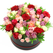 A stylish round hatbox arrangement is centred in the frame, photographed against a bright white background that makes every colour stand out with clarity. The box itself is a dark charcoal or black tone with a slim red trim encircling the base, evoking the look of an elegant gift waiting to be opened in a Tufnell Park townhouse or café near the station. From this container rises an extravagant, dome-shaped bouquet composed almost entirely of roses, each bloom nestled so closely that the flowers form a continuous, cushioned surface of petals. Rich, velvety red roses draw the eye first, their deep tones suggesting love and devotion, while softer hues create balance: pale pink roses, likely including small spray varieties, sit alongside warm peach and coral roses that bring a gentle glow. Creamy white and ivory blossoms punctuate the design like highlights of light, and scattered among them are delicate lavender and light purple flowers, perhaps smaller rose heads or filler blooms, lending an air of modern romance. Between these colours, small clusters of foliage in fresh green shades are tucked in, possibly ruscus or eucalyptus, their slender leaves weaving through the arrangement like gentle strokes of greenery. The texture varies from the tight, smooth curves of just-opening buds to the lush, layered ruffles of fully bloomed roses, giving depth and visual interest. The lighting is clear and soft, with no harsh shadows, enhancing the bouquet's freshness as if it has just been finished by a local Tufnell Park florist for same-day delivery. The overall feeling is one of elegance, celebration, and affection, making this a perfect floral hat box for anniversaries, Valentine's Day, or any special moment when words need a beautiful, fragrant companion.