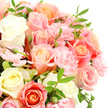 Elegant, tightly framed photograph of a hand-tied bouquet composed of pastel roses and soft pink carnations, styled on a pristine white background that heightens its sense of purity and calm. The roses are the stars of the composition, many fully unfurled into intricate spirals that reveal layer upon layer of silky petal. Their colours move through a soothing spectrum: creamy whites and very pale yellows blend into petal-soft blush, warm peach, and richer tones of salmon and light coral, echoing the subtle variety found at local flower stalls near Tufnell Park. Nestled among these focal blooms are numerous small carnations, mostly a gentle, light pink, their finely ruffled petals giving the bouquet its plush, cloud-like fullness. Slender, deep green leaves thread between the flowers, their elongated shapes and smooth surfaces contrasting with the velvety petals and adding a sense of freshness, as if the bouquet had just been carried in from a garden near Dartmouth Park. A few buds remain mostly closed, their compact shapes hinting at future blossoms and lending the arrangement a quiet sense of unfolding time. The overall lighting is clear and even, with no harsh shadows, bringing out the subtle gradients of colour and the delicate textures. The bouquet radiates softness and affection, equally suited for a thoughtful delivery to a friend recovering at home in Tufnell Park, a romantic surprise, or a gentle expression of sympathy where words feel too heavy.