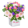 A joyful floral creation arrives in a pristine white square box-its celebration of pinks and greens clearly crafted by skilled hands familiar with Tufnell Park's creative spirit. The arrangement's foundation is a profusion of blooming pink roses, their petals plush and inviting, contrasted by clusters of pale pink gerbera daisies whose radiant yellow-white centers evoke early spring mornings along Fortess Road. Flecks of deep purple statice and feathery white filler blooms are nestled gracefully throughout, heightening the palette's lively contrast and giving the bouquet a fresh, textural appeal. Verdant foliage bulks out the display, giving a sense of lush abundance that calls to mind the tranquil corners of Whittington Park. All this vibrancy is elegantly gathered in a contemporary, white ceramic box-unassuming yet chic-making it a fitting centrepiece for any celebration or kind gesture in and around Tufnell Park. Presented against a pure white background, every blossom and leaf stands out with remarkable clarity, showcasing the artistry of local florists who balance tradition with a modern touch. Whether for a birthday, an anniversary, or a spontaneous moment of gratitude, this bouquet radiates warmth, community, and timeless beauty.
