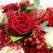 This photograph offers a close, intimate view of a luxurious red and white bouquet, the kind you might see freshly arranged in a Tufnell Park studio just off Brecknock Road. At the centre, a single deep crimson rose takes pride of place, its petals densely layered and velvety, spiralling inward in a classic, captivating pattern. Surrounding it, several other red roses press close, some partially hidden behind the main bloom, enhancing the sense of depth and creating a rich, romantic sea of colour. Nestled among these are creamy white roses, their petals slightly looser and more open, bringing a gentle glow and softening the drama of the reds with a sense of grace and purity. Threaded throughout the arrangement, tiny red Gypsophila blossoms form delicate, lacy clouds, their minuscule petals adding fine texture and a whimsical touch, as if a light red mist drifts among the roses. Bright red Hypericum berries cluster like little beads of glass, smooth and round, catching the light and echoing the cheerful spirit of local celebrations around Tufnell Park. Eucalyptus leaves, with their cool, silvery-green tone and rounded shape, mingle with darker green foliage, framing the flowers and giving the bouquet a fresh, natural feel, as though it has just been gathered from a beautifully tended garden. The lighting is soft and even, revealing every subtle shift of colour and texture without harsh shadows. The arrangement radiates romance, warmth, and quiet luxury, perfect for occasions like Valentine's Day, anniversaries, or simply sending a heartfelt message to someone special nearby.