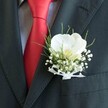 A sharply focused close-up shows the upper torso of a man dressed for a special occasion, likely a wedding morning in Tufnell Park, with every detail of his outfit captured in crisp clarity. He wears a dark, charcoal grey or black suit jacket that fills most of the frame, the clean line of the lapel angling neatly towards his shoulder. Against this deep fabric, a lustrous red silk tie cuts diagonally through the scene, its surface smooth and glinting softly as if catching natural daylight from a nearby townhouse window on Tufnell Park Road. Beneath the tie, the faint pattern of a pale dress shirt is just visible, adding a subtle texture without stealing attention. Pinned precisely to the lapel is a handcrafted boutonniere: a single pristine white Phalaenopsis orchid, its broad, velvety petals unfolding like porcelain wings, with a gentle yellow-cream throat and a hint of blush at the centre. Surrounding the orchid, tiny white clouds of baby's breath cluster in delicate sprays, their minute blossoms forming a halo of softness. Slender strands of vivid green, grass-like foliage curve upward and outward from behind the petals, giving the design height and a fresh, garden-picked feel. The stems are neatly gathered and wrapped in a fine white sheer ribbon, tied into a small, careful bow that rests lightly against the jacket. The overall mood is one of poised elegance and quiet anticipation, a classic groom's buttonhole that could have been prepared by an attentive local florist just off Fortess Road, ready for a ceremony in a nearby North London church or registry office.