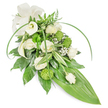 A long, teardrop-style sympathy spray arranged against a soft white backdrop, this composition speaks in quiet tones of cream, bright green and deep foliage. Creamy white roses, some unfurled with velvety, spiralled petals and others held as pale buds, form the ritual heart of the design; alongside them, sculptural white Calla lilies curve like porcelain trumpets, their smooth surfaces catching a gentle, cool light. Textured lime-green button chrysanthemums-small, almost spherical clusters-pop through the white like tiny bright moons, giving a modern, slightly playful counterpoint to the formality of the roses. Wisps of baby's breath (Gypsophila) float between blooms, dusting the arrangement with cloud-like softness, while glossy dark-green leaves provide a dense, calming base. Variegated foliage with crisp white streaks and feathery fern fronds add layers of depth and quiet movement, and two long, arching blades of bright green foliage sweep over the upper section, lending the piece a graceful, contemporary line. The whole spray narrows to a broad, smooth bright-green tropical leaf at its tail, finishing the cascade with a clean, pointed silhouette. A soft cream fabric bow at the upper left ties the sentiment together, the matte ribbon contrasting with the leaves' sheen. The scent is an understated blend of fresh green stems and the powdery sweetness of garden roses; the tactile contrasts-silky calla, plush rose petals, firm chrysanthemum buttons and feathery filler-are clear even to the touch. Crafted with the calm precision of a local florist familiar with Tufnell Park sensibilities, this arrangement reads as a dignified tribute for a funeral or memorial, offering solace and respectful beauty.