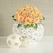 A lush, rounded bouquet of soft peach and apricot roses sits proudly at the centre of the image, each bloom tightly cupped with deeper orange hearts that gradually fade to paler, almost creamy outer petals. Around and between the roses, tiny white clouds of baby's breath weave delicately, giving the whole arrangement an airy, romantic halo. A few glossy, deep green leaves peek out at the base, adding depth and a natural frame without disturbing the dome-like shape. The flowers are gathered into a striking spherical vase made from intricately woven white strands, like wicker or rattan, forming an open lattice that feels both modern and handcrafted. Through the gaps you can just glimpse the stems inside, creating a sense of lightness, as though the bouquet is floating above the bright white tabletop. In front of the vase rest two decorative orbs, smaller echoes of the main container: one a little larger, one slightly smaller, both fashioned from pale, natural-looking strips that curl and loop into open, geometric spheres. They cast soft shadows on the smooth surface, adding texture and playfulness to the serene scene. Behind, a gentle light beige or greige wall with a faint vertical texture offers a calm, uncluttered backdrop, reminiscent of a quiet Tufnell Park townhouse interior. The overall lighting is soft and natural, as if filtered through a nearby window on a mild North London morning, highlighting every petal edge and woven strand. The composition feels ideal for a wedding reception table on a quiet street off Tufnell Park Road, or as refined home décor for someone wanting to bring a warm, elegant glow into their living room.