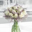 A tall, cylindrical glass vase stands at the centre of a clean, softly lit scene, filled with clear water that reveals a cluster of straight, fresh green stems. At the top, creamy white roses open in perfect spirals, each bloom composed of velvety petals that gently curl back from the centre as though unfolding in slow motion. The roses catch what feels like filtered morning light, the sort you might see through a quiet Tufnell Park window, creating a gentle glow along each petal's edge. Threaded delicately between and around the roses is a cloud of lilac-tinted limonium, also known as sea lavender, its tiny star-like blossoms forming a misty halo that softens every line of the arrangement. The limonium adds a feathery texture, like fine lace or distant heather on the slopes near Hampstead Heath, while the roses remain the calm, elegant heart of the bouquet. The colour palette is quiet and refined: warm ivory, soft lavender, and cool green, all anchored by the purity of the glass and water. There is no excess foliage or ornament, just a carefully composed interplay of bloom and space, light and shadow. The bouquet feels serene and balanced, well suited for a moment of reflection, a gentle condolence, or a peaceful addition to a minimalist flat near Fortess Road. Imagining the faint fragrance, a blend of tender rose and subtle herbal notes from the limonium, it is easy to picture this arrangement resting on a bedside table, a kitchen island, or a small café counter, offering a sense of calm, hope, and quiet beauty to anyone who passes by.