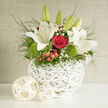 An artfully composed wedding-style arrangement sits in a white, lattice-woven basket, brimming with white lilies, red roses, and fresh green textures that feel perfectly at home in Tufnell Park's relaxed, artistic streets. Tall stems of lily emerge first, some buds still tightly wrapped, others fully unfurled to reveal starry white petals that arch outward with a gentle elegance. The lilies' subtle, clean perfume seems almost tangible, mingling in the imagination with the warmth of nearby candlelight or the quiet hum of a celebration in a local Tufnell Park venue. Below them, deep red roses are tucked in generous clusters, their velvety petals catching the light and giving the impression of depth and romance. Cushions of mossy green dianthus nestle around the base, adding a playful, tactile element that softens the overall structure. Among the blooms, glossy red hypericum berries and airy gypsophila dance together, the berries adding rich pops of colour and the baby's breath forming a delicate halo. Slender stems of greenery curve outward, creating a sense of movement, as though a gentle breeze were passing through a garden near Fortess Road. The woven basket, painted in a clean white, anchors the arrangement with a contemporary yet timeless feel, its open texture echoing the lightness of the flowers above. This bouquet feels especially fitting for a wedding table, engagement celebration, or intimate anniversary dinner at home, offering a balanced mix of purity, passion, and fresh new beginnings. Every detail appears thoughtfully placed, reflecting the care of a skilled local florist used to creating meaningful designs for the Tufnell Park community.