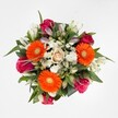 This bouquet embodies the joyful personality and lively character that make Tufnell Park unique, expertly gathered by a local florist who knows the value of community. The arrangement's first impression is one of dynamic color: vibrant orange Gerbera daisies leap from the design, their cheerful faces perfectly set against rich magenta and fuchsia roses-each petal a soft, velvety expression of celebration and warmth. Pale peach and cream-hued roses add a touch of refined calm, nestled close to the heart of the display. White alstroemeria with subtle blush at the petal tips meander gracefully through the bouquet, complemented by generous tufts of white spray chrysanthemums that provide both delicate texture and visual softness, reminiscent of the gentle clouds drifting over Dartmouth Park. The dark green foliage weaves through and around the blooms, grounding the vibrant color story in lush naturalness and echoing the leafy streets of Tufnell Park. Every flower, carefully selected and arranged, invites both admiration and touch, evoking the sensation of freshness that fills local homes after a Saturday flower delivery. Illuminated by soft, even light, this bouquet is a timeless composition, perfect for heartfelt congratulations, birthdays, or simply to brighten a Tufnell Park residence with nature's grace and enduring beauty.