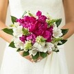 A close-up photograph captures a bride or wedding guest cradling a vibrant, hand-tied bouquet, held gently against the soft white fabric of a wedding gown, the lace and satin texture just visible around the flowers. At the heart of the design, large fuchsia and magenta peonies dominate, their densely layered, ruffled petals opening like silk rosettes and creating a rich, luxurious centre. Nestled between these bold blooms are crisp white alstroemeria, each petal marked with fine maroon speckles and soft striping, adding intricate detail and a touch of delicacy to the arrangement. Slender, spiky green buds and filler flowers thread through the bouquet, their fresh, bright green tones providing movement and contrast, while deep, glossy foliage forms a rounded collar that frames the entire posy. The bride's hands, with neatly manicured, pale pink nails, curve naturally around the stems, suggesting that moment just before she walks into a ceremony space, perhaps at a Tufnell Park church or a stylish townhouse near Fortess Road. The lighting is gentle and even, allowing the vivid fuchsia, clean white, and layered greens to stand out clearly without harsh shadows. The composition feels compact yet lush, a modern take on a classic round bridal bouquet that radiates joy and celebration. It is the kind of bouquet a local Tufnell Park florist would create for a spring or summer wedding, balancing bold colour with romantic softness so that each peony and lily-like alstroemeria contributes to a sense of excitement, tenderness, and the quiet anticipation of saying I do.