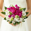 A romantic wedding bouquet rests between a bride's hands, its colours and textures glowing as if caught in the soft daylight streaming into a home near Tufnell Park station. At the centre, deep magenta peonies are fully in bloom, each one packed with layers of gently curling petals that appear plush and inviting, like small silk cushions gathered together. Surrounding these focal flowers, white alstroemeria add a graceful brightness; their petals are slim and slightly arched, each one marked with fine burgundy lines and freckles that give the bouquet an air of quiet refinement. Threaded among the main blossoms are delicate stems of pale green buds, some just starting to unfurl, adding a sense of growth, renewal, and forward-looking joy. The greenery is generous yet controlled-sturdy, leaf-heavy stems at the base, with softer, more flexible leaves extending outward, creating a soft halo effect and framing the colours much like the mature trees lining the streets around Fortess Road. The light in the photograph is gentle and natural, catching small highlights on the peony petals and revealing the subtle cream tones within the white alstroemeria. You can almost imagine the faint fragrance: a mix of cool green stems, mild sweetness, and a whisper of earth, as if the bouquet has just been gathered from a carefully tended local garden. Every flower appears deliberately placed yet not rigid, giving the impression of a bouquet crafted by an experienced Tufnell Park florist who understands both tradition and modern romance. It feels ideal for a bride walking down the aisle in a local church or registry office, or for marking any heartfelt milestone nearby.