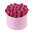 A lavish hat box arrangement of deep fuchsia roses is showcased here in crisp, even lighting, standing alone on a pure white background that heightens its luxurious simplicity. The composition features dozens of roses tightly massed into a neat, rounded dome, every head facing upward and outward so that the viewer sees a sea of petals and almost no gaps in between. The blooms are at an early-open stage, with petals that coil in lovely spirals, creating intricate textures across the dome's surface. Their colour palette runs from intense magenta and wine-pink along the outer petals to softer, more tender pinks in the centres, giving the whole design a subtle gradient that adds dimension without losing its monochromatic elegance. The cylindrical hat box beneath is a soft, light pink with a smooth, velvety matte finish, absolutely minimal in decoration, chosen to gently frame the flowers rather than compete with them. The rim of the box is just visible under the mass of roses, which spill a touch over the edge to suggest fullness and generosity. Very little greenery is seen, only the occasional hint of deep green leaf tucked low in the design, making the saturated rose colour the dominant visual note. A faint shadow beneath and behind the box grounds it, implying a clean tabletop like those found in a Tufnell Park flower studio. This is the sort of refined, romantic arrangement a local florist might send out for a proposal dinner near Dartmouth Park, a special birthday by the Heath, or a stylish thank-you gift within the N19 area.