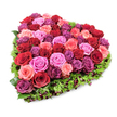 A lush, heart-shaped floral tribute captured against a pure white background, composed of a dense mosaic of fresh roses in rich crimson, burgundy, fuchsia, soft blush pink and deep purplish-magenta. Seen from a slightly elevated, overhead angle, the roses are packed tightly to create a smooth, sculpted surface: some blooms are neatly furled, others gently unfurling to reveal layered, velvety petals that catch the even, bright studio light. The centre reads as an opulent cluster of garden roses whose subtle scent seems to rise from the image-their petals textured and tactile, each bloom contributing to the heart's plush volume. A fine fringe of deep green foliage frames the heart, its slender, textured leaves-reminiscent of carnation foliage or delicate moss-forming a crisp border that defines the shape. Tiny dark-red or burgundy berries and small accent flowers punctuate the green edge, adding depth and a shadowed counterpoint to the luminous florals. The composition feels both celebratory and quietly reverent, equally suited to anniversaries, Valentine's Day, or as a comforting memorial piece. As a florist working in Tufnell Park, I picture this arrangement set on a simple white plinth in a Hampstead parlour or carried gently from a chapel on Dartmouth Park's tree-lined streets-a heartfelt emblem of love, memory, and expert craftsmanship captured in every petal.