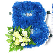 A large, floral capital B commands attention in the centre of a clean white frame, its form shaped from tightly massed royal blue chrysanthemums. The blooms are full and multi-petalled, their ruffled heads nestled so closely that the surface looks almost like a soft blue velvet cushion, with subtle shifts in tone from rich navy to lighter cornflower blue as the light moves across them. A narrow border of white satin ribbon follows every curve and contour of the letter, giving it precise definition and a gentle, almost cloud-like softness at the edges, akin to the quiet, ordered charm of Tufnell Park's residential streets. At the lower left of the B, a complementary floral cluster is pinned to the main design. Here, creamy white roses in bud and half-open form rest gracefully among tiny white spray chrysanthemums that resemble miniature daisies, their petite heads bringing a touch of delicacy. The roses appear smooth and velvety, their petals curling inwards to form elegant spirals, while the spray chrysanthemums add a lighter, more intricate texture. This cluster is cradled by fresh foliage: feathery green ferns, glossy leaves, and softly variegated greenery that fans out, suggesting natural movement and life. The arrangement feels like a thoughtfully designed funeral or memorial tribute, ideal for services held around Tufnell Park, where families gather to celebrate a life remembered. The deep blue chrysanthemum base conveys sincerity, respect, and depth of feeling, while the white roses and petite sprays bring an air of purity, peace, and gentle comfort, turning a simple initial into an eloquent symbol of love and farewell.