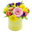 An exuberant Easter hatbox arrangement brimming with spring colour is shown against a bright white background, as if it has just been set down on a kitchen table in a Tufnell Park townhouse. The flowers are arranged in a full, rounded dome so that no single stem dominates, yet the eye is naturally drawn to a central soft pink Gerbera daisy, whose many slender petals form a calm, circular frame around a light green centre. Surrounding this are generous clusters of lemon- to sunshine-yellow chrysanthemum-style blooms, their finely cut petals flaring outward and overlapping, creating a halo of light that feels optimistic and warm. Interwoven throughout are coral to tangerine-orange carnations, their petals gathered in tight, ruffled layers that introduce a sense of texture and movement, like ripples across a silk fabric. Deeper, moody accents of violet-purple lisianthus are tucked in between, their smooth, slightly twisted petals lending a refined, almost romantic dimension to the arrangement. The composition is supported by a mix of fresh green foliage, some leaves solid and glossy, others edged with pale cream variegation, which helps break up the colour and adds a natural, garden-like rhythm. All of this is carefully arranged in a cylindrical hatbox in a pastel yellow hue with a soft green cast, decorated with scattered, childlike Easter egg motifs in muted blue, pink, and white, each egg finished with delicate dots or stripes. The design feels both playful and polished, ideal for Easter morning tables, seasonal gifting, or a surprise delivery to brighten flats and family homes around Fortess Road, Junction Road, and the surrounding Tufnell Park community, where a burst of spring flowers can instantly lift the mood of any room.