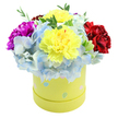 A joyful, bouquet-like arrangement crowns a round, pastel yellow hatbox, photographed against a clean white backdrop so the colours sing. At the centre two large, ruffled lemon-yellow carnations form a luminous focal point, their crinkled petals catching a soft, natural light and suggesting a subtle, spicy-sweet carnation scent. Around them a generous halo of powdery periwinkle-blue hydrangea florets creates a cloud-like bed, each tiny blossom edged with palest sky-blue and whispering white. To the left a saturated magenta-fuchsia carnation pushes slightly upward, its velvety ruffles lending dramatic contrast, while on the right a deep crimson carnation brings warmth and visual weight. Sprigs of fresh green foliage thread between the blooms, their matte leaves offering cool texture and the faint green aroma of cut stems. The cylindrical gift box is a gentle lime-yellow, sprinkled with irregular pastel dots-soft pinks, baby blues and pale greens, some with tiny white speckles-that read as playful, almost hand-painted details. The composition is compact and domed, expertly arranged so the colours balance from every angle, a design I'd choose for a cheerful birthday delivery or a bright get-well surprise in Tufnell Park. As a local florist's image, it conveys careful craftsmanship: each stem trimmed to sit flush with the box rim, hydrangea clusters shaded to hold moisture, and carnations selected for fullness and lasting texture. The overall mood is light and celebratory, a tactile, fragrant gift that brings a slice of seasonal charm to doorsteps around Tufnell Park, inviting a smile the moment the lid lifts.