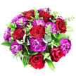 Against a pristine white background, this hand-tied circular bouquet appears almost jewel-like when viewed from above, its rich colours and textures drawing the eye inward. At its heart, a cluster of seven or eight red roses forms a luxurious core, each rose composed of velvety petals that spiral from a tight centre into fuller outer layers. The reds are nuanced: some petals glow in clear scarlet, while others retreat into burgundy shadows, giving the flowers an almost velour depth, as if you could feel their softness just by looking. Nestled amongst them, generous heads of magenta and purple carnations create a lively contrast. Their frilled, serrated petals overlap in dense ruffles, some blooms leaning towards bright, almost electric fuchsia, others deepening to moody plum and royal purple, so that the eye dances between heat and coolness within the same palette.
Threaded throughout, the greenery lends structure and a sense of freshness. The rounded eucalyptus leaves, with their subtle silvery sheen, offer a cool counterpoint to the warm reds, while broader, darker leaves like Ruscus or Salal frame the flowers with a glossy forest-green halo. Slimmer stems with smaller, brighter leaves add lift and lightness, suggesting the bouquet has been freshly arranged in a local studio near the heart of Tufnell Park. The composition is dense and thoughtfully balanced, forming a complete, opulent circle that would sit beautifully on a table in a flat near Tufnell Park station or be delivered as a striking romantic gesture. Emotionally, the flowers convey passion, joy, and a refined sense of celebration, ideal for birthdays, anniversaries, or simply sending love across North London with colour and grace.