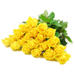 The photograph captures a generous band of about twenty-four yellow roses, resting side by side on a flawless white backdrop, as if arranged on a worktable in a Tufnell Park flower studio. Each bloom is given room to breathe visually: some are still in bud, tightly furled with a classic spiral centre, while others are open enough to reveal the full, cupped structure of their velvety petals. The yellow tone is consistent and uplifting, reminiscent of soft afternoon light falling over the houses near Tufnell Park station, bringing an immediate sense of warmth. Between the blooms, strong, dark green leaves provide a natural frame, their slightly glossy finish and defined edges catching the light just enough to create contrast without distraction. The stems, partially visible beneath the flowers, show firm green lines and the occasional thorn, grounding the arrangement with an honest, garden-fresh character. Gentle, even lighting eliminates harsh shadows, so every curve and layer of petal appears smooth and calm, creating a quiet, contemplative mood. There are no added decorations such as bows or filler flowers; the focus remains entirely on the pure relationship between yellow blooms and green foliage. The emotional tone leans toward tender reassurance, making this cluster of roses especially suited for sympathy gestures-perhaps to comfort a family in a townhouse off Junction Road, or to bring a ray of gentle colour to a memorial service nearby. It feels like a floral embrace, a way to express support and remembrance without overwhelming the senses.