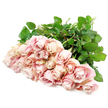 A bountiful armful of soft light pink roses, close to two dozen blooms, is arranged in a graceful fan across a smooth white surface, giving the impression that they've just been set down by a careful hand. Each rose displays layers of silky petals, some still held close in tight buds, others softly opening to reveal their delicate hearts. The colour is an understated blush, a mix of champagne and dusty rose with fleeting hints of lavender in the shadows, fading to pale, creamy pink at the petal rims, as though gently touched by evening light. Dark, lush greenery emerges between the blossoms and gathers beneath them, the leaves broad and polished, offering a rich contrast that anchors the airy palette of the flowers. The photograph feels bright yet soothing, reminiscent of the quiet, reflective atmosphere you might find walking along the edges of Tufnell Park or nearby Holloway Road on a calm day. There is a quiet strength in the simplicity of the composition: no bold colours or dramatic shapes, just roses arranged with intention, conveying sympathy and support. You can imagine this bouquet being sent to a family home or a small service near Archway as a tender gesture of remembrance, its soft tones offering comfort without overwhelming. The overall effect is one of gentle elegance and heartfelt condolence, as if the roses themselves are leaning forward to share in a moment of silence and offer a touch of peace.