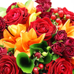 The photograph shows an abundant, hand-crafted bouquet that seems to spill towards the viewer, alive with rich reds and glowing oranges that would look perfectly at home in a Tufnell Park townhouse bay window. At its heart, large red roses are fully opened, their velvety petals layered in tight spirals that create deep, romantic centres. Around them, vivid orange lilies stretch their wide, trumpet-like petals outward, a few gently curling back, adding movement and a burst of fiery colour that feels both joyful and confident. Threaded between these focal blooms are smaller burgundy and crimson rosebuds, some tightly closed, others just loosening, lending the arrangement a sense of progression from promise to full bloom. The flowers are embraced by lush green foliage: broad, shiny leaves form a protective cradle, while slimmer stems and textured greens weave in and out, adding structure and a touch of wildness reminiscent of a stroll through nearby Hampstead Heath. A single, prominently curled leaf in the foreground acts like a natural flourish, guiding the eye deeper into the bouquet. Dotted throughout are clusters of small, round hypericum berries, their ruby-red skins smooth and glossy, echoing the roses' tones while introducing a playful, tactile element. Bright yet gentle lighting highlights the fresh, dewy surfaces of petals, leaves, and berries, making each colour appear saturated and full of life. The overall effect is one of warmth, abundance, and heartfelt generosity-an ideal arrangement for romantic gestures, milestone celebrations, or simply sending a bold, uplifting message to someone in Tufnell Park.