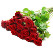 A sumptuous armful of long-stemmed red roses rests on a pure white surface, arranged so that the luxurious flower heads gather in a rich cluster at the left while the stems and foliage extend neatly toward the right. The bouquet appears to contain around two to three dozen premium roses, each bloom boasting velvety petals in a deep, passionate crimson that conjures up the language of love and devotion. The roses are tightly grouped, their heads brushing together to form an almost continuous field of red, with petals that curl inward at the centre and unfurl gracefully at the edges, suggesting fresh blossoms at the peak of their beauty. Bright, diffused lighting washes over the arrangement, revealing every curve and contour of the petals and casting soft shadows that give depth and dimension to the composition. Behind the blooms, a fan of long, sturdy green stems stretches back, dotted with occasional thorns and framed by dark, glossy leaves that provide a lush contrast to the intense red. The minimalist white backdrop allows the colour and texture of the flowers to take centre stage, creating a contemporary yet timeless feel. The bouquet looks as though it has just been created in a Tufnell Park flower shop, ready for same-day delivery along Fortess Road, to a flat near Dartmouth Park, or to a cosy home close to Tufnell Park station. It captures the mood of a grand romantic gesture - perfect for anniversaries, Valentine's surprises, or any heartfelt occasion where only a lavish display of red roses will do.