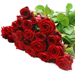 A sumptuous row of red roses spills gently across a flawless white surface, like a romantic flourish laid out before being wrapped for delivery to a doorstep near Tufnell Park station. The bouquet holds roughly two to three dozen freshly cut long-stemmed roses, arranged horizontally so that their lush heads form a continuous band of colour. Each bloom is a rich, velvety crimson, the petals spiralling inward in perfect concentric circles that feel both classic and intensely romantic. Some flowers are fully open, their many layers unfurled to create deep, luxurious cups of colour, while others remain more tightly swirled, suggesting new love and unfolding stories. Along the upper right edge and interlaced quietly through the roses, dark green stems and glossy leaves provide a strong, natural framework, their cool tones sharpening the impact of the red. The pure white background functions like a blank canvas, allowing the vivid roses to stand out in bold relief, every shadow and highlight gently defined by soft, even lighting. You can almost imagine the subtle, slightly spicy perfume of red roses lingering in the air, a familiar scent that speaks of anniversaries, grand gestures, and whispered promises. The composition feels carefully considered, the work of an attentive local florist at Flowers Tufnell Park who understands how to let each bloom shine while still creating a unified, flowing whole. It's easy to picture this design being chosen for a milestone celebration, a sweeping apology, or an unforgettable Valentine's delivery along the quiet avenues and garden squares of Tufnell Park, where a single glance at these roses would say everything that words cannot.