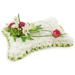 A tender, pillow-shaped funeral tribute rendered in clean white and soft green tones, presented against a neutral white background as if lit by gentle morning light. The rectangular cushion is completely covered with a dense carpet of small white chrysanthemums, their tight, petal-packed faces forming a plush, cloud-like surface that invites the eye and suggests quiet comfort. A pleated ribbon border in pale lime green satin frames the cushion, its subtle sheen and soft frill lending a refined, almost textile finish. At the upper left a carefully composed cluster rises with natural grace: two open white Oriental lilies reveal warm yellow stamens, a closed lily bud adds expectancy, and clusters of deep burgundy spray carnations bring a rich, consoling contrast. Varied greenery - feathery fern fronds and broader dark leaves - gives the cluster depth and an organic backdrop, while a slender arch of natural green salal or decorative wire extends from that cluster in a gentle curve across the chrysanthemum field. The arch culminates at the upper right with a single deep red rosebud, its velvety petals just beginning to unfurl, a poignant symbol of enduring love and remembrance resting against the pristine white. The overall palette - pure white, soft lime, and sombre red - conveys peace, dignity, and heartfelt condolence. This classic, handcrafted cushion is the kind of sympathy piece a local florist in Tufnell Park might prepare for a memorial service on Junction Road or a wake near Dartmouth Park, designed to offer comfort through its texture, scent of lilies, and quiet, restorative presence.