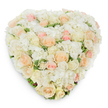 Seen from directly above on a clean white backdrop, this heart-shaped floral tribute is a study in soft, loving restraint: a dense carpet of pristine white hydrangea clusters and cream-hued blooms punctuated by pale peach and blush pink roses. Each rose, from tightly furled buds to fully unfurled cups, contributes to a subtle gradient that moves from ivory through warm peach to the palest pink; the hydrangea's small, cloud-like florets nestle between the roses and give the surface a pillowy texture. Deep green, slightly variegated leaves peek at intervals around the lower edge and between blossoms, grounding the composition and lending a quiet contrast to the pastel palette. The arrangement's heart silhouette is sculpted with careful repetition and fullness, forming a seamless, lush surface that reads as both handcrafted and meticulously constructed. Soft studio light falls evenly across the petals, casting a gentle haloed shadow beneath the heart and revealing the three-dimensional depth of the design. There is a faint suggestion of clean floral scent-fresh roses mingling with the green coolness of leaves-evoking tenderness rather than exuberance. This piece has the timeless calm of a sympathy centerpiece or a memorial tribute, yet its pastel warmth and romantic heart form also make it fitting for a wedding aisle or an intimate anniversary gift. As a local florist in Tufnell Park would confirm, this is a premium fresh-cut creation made to convey comfort, remembrance, or quiet devotion, delivered with care to neighbourhood chapels, local homes, and nearby community spaces such as Dartmouth Park and the Tufnell Park area.
