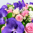 This image presents an opulent bouquet arranged so tightly that the flowers themselves become the entire landscape, echoing the kind of artisan work you might find in a boutique florist near Tufnell Park station. Deep purple Vanda orchids are the stars, their wide petals covered in darker, netted veining that creates a hypnotic, almost mosaic-like pattern and lends the bouquet an unmistakably exotic flair. Around and between these dramatic blooms, layers of roses unfold in shades of blush pink, medium rose, and creamy white, with some petals glowing softly toward pale yellow at their centres, each flower shaped into a classic, spiralled cup. Nestled among the roses are clusters of small, glossy white berries-likely Hypericum-that sit like polished beads, adding structure and a subtle wintery touch. Fluffy white filler flowers, perhaps miniature chrysanthemums or carnations, appear in little tufts that lighten the composition and enhance its cushioned, cloud-like fullness. The arrangement is laced with fresh green foliage, including smooth oval leaves, and softened further by trailing accents of silver-green leaves reminiscent of Dusty Miller, whose velvety texture introduces a gentle, cool contrast. Photographed against a clean white background, every shade of purple, pink, and cream stands out with clarity, suggesting daylight filtering through a North London window onto a florist's worktable. The bouquet radiates romance and high-end elegance, ideal for anniversaries, thank-you gifts, or chic celebrations hosted in homes and cafes around Tufnell Park, Dartmouth Park, and the nearby streets that give this corner of London its quietly creative charm.