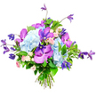 A striking hand-tied bouquet is shown in crisp focus against a clean white background, every bloom clearly defined as if displayed in a studio just off Tufnell Park Road. Dominating the centre are abundant clusters of light sky-blue hydrangeas, their soft, closely packed petals creating a cushiony, cloud-like effect that instantly soothes the eye. Threaded among this blue foundation are eye-catching orchids in shades of fuchsia and deep purple, most likely Vanda or Phalaenopsis, their generous petals velvety to the eye and intricate with speckled or veined markings that lend a refined, exotic character. Tucked gently between these statement flowers are miniature roses in blush pink and creamy white, their small, layered blooms adding a whisper of romance and a sense of tender care, as if chosen for a heartfelt delivery to a loved one in neighbouring Kentish Town. From the edges and crest of the bouquet, slender stems of deep purple clematis stretch and spill, their elegant star or bell-shaped flowers introducing height, movement, and a slightly wild, garden-grown charm. Surrounding and supporting the blooms, an abundance of lush greenery-broad, glossy leaves mixed with more delicate foliage-frames the colours, deepens the shadows, and enhances the vibrancy of the blues and purples. The stems at the base are carefully aligned and tied, revealing a professional, freshly crafted finish ready to slip into a favourite vase. Overall, the bouquet radiates a sense of modern elegance and gentle celebration, suitable for anniversaries, thank-you gestures, or simply brightening a home in the Tufnell Park area.