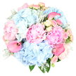A lavish bouquet of pastel flowers is captured against a crisp white background, its rounded shape and layered textures giving it a quietly luxurious presence. At the centre, plush blush pink peonies unfold in generous ruffles, their many petals overlapping like fine fabric, creating a soft core of romance that immediately draws the eye. Surrounding them, generous clouds of sky blue hydrangeas add volume and a cool, airy calm, each cluster made up of tiny, delicate petals that together form pillowy domes reminiscent of a clear day above Tufnell Park's tree-lined streets. Scattered throughout are diminutive spray roses in tones of blush pink and gentle, buttery yellow, some tightly furled, others shyly opening, lending a sense of freshness and unfolding stories. Rising gracefully from the mix, a few hot pink calla lilies present sleek, sculptural trumpets, their stronger colour and smooth curves introducing a modern flair amidst the softness. At the base and between the blooms, silvery Dusty Miller leaves, soft and velvety, intermingle with deeper green foliage, adding cool contrast and a slightly frosted look, much like early morning light along Tufnell Park Road. The bouquet is clearly crafted by an experienced hand, with each element positioned so that the colours drift naturally from pink to blue, highlighted by the clean, even lighting. This arrangement feels serene yet celebratory, suited to marking a milestone birthday, an intimate wedding celebration in a local venue, or sending gentle support to a friend nearby. It embodies the sense of thoughtful care and local charm you'd expect from a florist serving the Tufnell Park community, bringing beauty, calm, and a soft floral fragrance into any space.