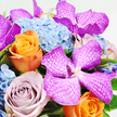 This close-up, overhead photograph captures a lavish floral arrangement set against a pure white background, reminiscent of a carefully styled bouquet waiting on a Tufnell Park florist's workbench. The composition is dominated by large Vanda orchids in vivid fuchsia and magenta tones, their broad petals bearing fine, white, net-like veins that create a captivating pattern and add a touch of exotic sophistication. These orchids seem to float above a generous bed of pale, powder-blue hydrangeas, whose many tiny florets cluster together to form soft, rounded mounds, giving the bouquet a pillowy, cloud-like foundation. Nestled amid this gentle blue are glowing orange roses, some in full, open bloom and others just beginning to unravel, their layered petals forming opulent swirls that radiate warmth and cheer. Balancing their intensity are roses in dusky lavender and dusty mauve shades, their more subdued colour lending a romantic, slightly vintage charm that feels very at home in the period houses off Fortress Road. Slender accents of fresh green foliage peek between the blooms, providing contrast, structure, and a breath of natural freshness. The flowers are arranged closely and meticulously, creating an impression of richness and abundance without losing individual detail. Soft, diffuse light illuminates the scene, highlighting the velvety texture of the roses, the silken sheen of the orchids, and the gentle ruffles of the hydrangeas. The overall mood is elegant and uplifting, making this bouquet perfect for a birthday surprise, a thank-you gesture, or a sophisticated dinner-party centrepiece for residents across Tufnell Park and the surrounding North London neighbourhoods.
