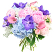 A sophisticated, round bouquet is presented against a pure white background, each flower placed with the precision and care of an experienced Tufnell Park florist. At its heart, lush peonies in gentle shades of light pink unfold in generous, ruffled layers, giving the arrangement a deeply romantic, full-bodied shape. Surrounding them, large, cloud-like clusters of sky-blue hydrangea add a soothing coolness, their intricate petals forming a soft cushion that seems to float beneath the other blooms. Interspersed throughout, dramatic Vanda orchids in a rich violet-purple immediately capture attention; their broad, flat petals, decorated with fine speckling, provide an exotic contrast that feels both modern and luxurious. Sleek calla lilies in blush and peach tones weave through the bouquet, their smooth, trumpet-shaped flowers arcing gracefully and catching the light in a subtle, satiny sheen. Between these statement blooms, delicate pale pink spray roses peek out, some as tight buds and others just beginning to open, giving the design a sense of intimacy and unfolding emotion. Around and beneath the flowers, dark green foliage adds depth, while distinctive silvery-grey Dusty Miller leaves introduce a cool, velvety texture that softens the overall palette. The stems are gathered neatly at the base and tied in a classic hand-tied style, ready to be placed in a favourite vase on a table near Tufnell Park Road or carried to a celebration in a nearby townhouse. The finished bouquet radiates femininity, tenderness, and a quiet joy, making it perfect for anniversaries, milestone birthdays, or simply brightening a loved one's day.