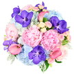 In this image, a lush, rounded bouquet sits against a pristine white background, glowing with a harmonious blend of pink, blue, and purple tones that recall the gentle, contemporary feel of homes around Tufnell Park. The design is tightly composed, overflowing with blooms to create a dome-like shape that feels luxurious and generous, as though it could be cradled in both arms. Dominating the arrangement are large pastel pink peonies, their abundant, ruffled petals unfolding into soft, voluminous spheres that speak of romance, affection, and thoughtful celebration. Between them, sky blue hydrangeas spread out in fluffy clusters, their cool colour lending calm balance to the warmth of the pinks, much like a soft sky above local garden squares. Threaded among these are vivid fuchsia-purple Vanda orchids, easily recognised by their intricate speckled petals, adding an exotic touch and drawing the eye with their richer, jewel-like tones. Elegant coral pink calla lilies curl through the bouquet, their sleek, trumpet-shaped blooms providing graceful lines and a hint of modern design. Smaller light pink and creamy white spray roses tuck into the spaces between larger flowers, softening the overall look and suggesting a delicate, sweet fragrance. Around the base and peeking through the flowers, greenery appears in velvety silvery dusty miller and deeper green leaves, adding structure and depth. The composition feels both celebratory and refined, suitable for marking anniversaries, engagements, or sophisticated gatherings in Tufnell Park homes, and it beautifully demonstrates the artistry of a local florist who understands how to blend colour, texture, and emotion into a single, memorable bouquet.