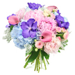 Against a bright white backdrop, a sumptuous hand-tied bouquet spills outward in a harmonious blend of soft pastels and rich jewel tones. Light pink peonies sit at the heart of the design, their many ruffled petals unfurling into generous, cushiony blooms that suggest romance and abundance. Around them, rounded clusters of powder blue hydrangeas create a cool, cloud-like base, each tiny floret adding to the impression of softness and gentle volume. Cutting through these delicate hues are vibrant deep purple Vanda orchids, their smooth petals marked with intricate speckles that give them a sophisticated, almost artistic quality. Curved stems of fuchsia pink calla lilies weave between the larger flowers, their sleek, trumpet-shaped forms providing graceful movement and a slightly bolder note of colour. Scattered throughout are sprays of blush pink miniature roses, some in bud and some fully open, adding fine detail and a classic, garden-inspired charm. The bouquet is framed with lush foliage: dark green leaves provide structure, while the silvery, velvety leaves of dusty miller lend a misty softness and tactile interest. At the bottom, the stems are clearly visible, neatly bound together to show a skilled hand-tied finish, as you would expect from an experienced local florist in Tufnell Park. The arrangement feels fresh, luminous, and celebratory, as if destined to brighten a period flat near Tufnell Park Underground, a gathering by Tufnell Park Playing Fields, or a romantic surprise delivered to a doorstep along Fortess Road. The overall mood is elegant yet inviting, radiating warmth and quiet joy.