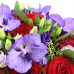The image shows a lush, romantic bouquet dominated by purple orchids and red roses, photographed so closely that every nuance of texture and colour is visible, much like examining a fresh delivery in a Tufnell Park kitchen. Vanda orchids take centre stage, their wide petals soaked in lavender, violet, and deep purple tones, each one patterned with delicate darker flecks that give them a rich, almost velvet-like complexity. Intertwined with these striking blooms are classic crimson red roses, their tightly curled, velvety petals forming deep, layered centres that suggest intimacy and enduring love. Threading through the design, royal purple lisianthus blossoms add gentle ruffles, while slender lime-green buds hint at future blooms, introducing a sense of unfolding story and quiet anticipation. The flowers are wrapped in a generous halo of glossy emerald foliage, the leaves overlapping and cradling the arrangement, providing both structure and a soothing green contrast to the intense jewel colours. Scattered throughout are touches of chartreuse filler and small, textured sprigs that break up the masses of colour and bring a natural rhythm to the design. Near the edges, soft glimpses of pale pink or creamy white petals lighten the overall impression, preventing the palette from feeling too heavy and adding a whisper of softness. The soft, even lighting recalls the calm daylight filtering into homes around Tufnell Park Gardens, lending the bouquet a serene glow. This arrangement feels perfectly suited to a romantic surprise delivered to a flat off Junction Road, an anniversary table set for two, or a meaningful gesture of affection, combining drama and tenderness in a single, carefully crafted design.