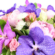 A lavish bouquet of pink and purple blooms is captured against a brilliant white backdrop, the composition glowing with clarity and poise. At the centre, striking Vanda orchids in tones of lavender and deep plum command attention, their broad petals traced with a delicate network of pale veining that creates intricate, almost lace-like patterns. These dramatic flowers are surrounded by generous peonies, each head made up of many soft layers of ballet-pink and blush petals that curl and fold into one another like fine fabric. Intertwined are pink roses at different stages of opening: compact buds with tightly wrapped petals and fully unfurled blossoms whose classic, spiralled hearts suggest romance and tenderness. Bright white, pom-pom-style chrysanthemums or similar tiny daisies peek between the larger flowers, their spiky, rounded shapes adding lightness and a playful texture that keeps the design from feeling too formal. The entire arrangement is embraced by a collar of rich green foliage, some leaves smooth and dark, others showing pale, variegated edges that enhance the sense of depth, much like layers of greenery you might notice in the gardens around Tufnell Park or nearby Dartmouth Park. The flowers are densely grouped, creating a full, opulent effect that suggests careful craftsmanship and attentiveness. Subtle, even lighting reveals every curve and edge, evoking the quiet elegance of an arrangement waiting on a polished table in a north London home. This image suits descriptions of luxurious bouquets for romantic occasions, weddings, or thoughtful gift deliveries across Tufnell Park.