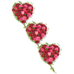 Three generous heart-shaped arrangements of roses, linked tenderly by strands of ivy, form a diagonal cascade across a crisp white background, creating a moving expression of love and remembrance. Each heart is densely composed of roses in a nuanced palette of reds and pinks: deep wine tones, true reds, vivid cerise, warm coral, and gentle blush, all nestled together so tightly that they form a plush, almost quilted surface of petals. The roses vary in size and openness, some still cupped like small secrets, others fully unfurled, revealing their intricate whorls and inviting softness, as if one could almost feel their velvety texture beneath the fingertips. Encircling these hearts, ivy vines with polished dark-green leaves curve in natural arcs, softening the edges and introducing a sense of growth and continuity. Slender trails of ivy extend outward and then loop back to connect each heart, symbolising the unbroken ties of family, friendship, and shared memories that run through the Tufnell Park community, from local streets off Brecknock Road to tranquil corners of nearby parks. The pure white background, free from distraction, highlights every colour and contour, much like a shaft of pale light falling on a tribute in a quiet chapel. This triple-heart design would feel perfectly at home as a focal piece at a funeral service, cremation, or memorial gathering in or around Tufnell Park, offering a visually tender, deeply felt farewell that honours a cherished life with grace and sincerity.