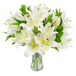 A generous, meticulously arranged bouquet of pristine white lilies fills the visual field, set in a clear, classic glass vase against a clean white backdrop. Each bloom opens in layered, trumpet-shaped petals of luminous paper-white that catch a soft, even light, while a whisper of creamy yellow-green gathers in the throat of several flowers, lending subtle warmth and depth to the otherwise pure white. From the centre of many blossoms rise long, graceful stamens with pale greenish-yellow filaments topped by warm, earthen brown anthers, their texture contrasting gently with the smooth petals. Glossy, lance-shaped leaves in deep, verdant green weave through the massed blooms, adding a cool, botanical weight that keeps the bouquet feeling abundant yet composed. The clear water in the vase reflects the stems' pale green shafts and creates delicate highlights along the glass's flared neck and sturdy base; the visible trimmed stems speak to careful handling and freshness. There is a faint, sweet, green-white fragrance suggested by the arrangement-soft, reassuring, and not overpowering-evoking peace, refinement, and quiet celebration. The composition reads as a timeless study in contrasts: bright white against deep green, soft petals against crisp glass, and delicate scent against solid form. As a local florist often delivering to homes and small venues near Tufnell Park station and Dartmouth Park, I picture this bouquet placed on a mantlepiece during a reflective gathering, balanced and luminous under soft daylight or muted evening lamp glow, a tender emblem of sympathy, remembrance, or elegant, understated hospitality.