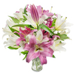 A lush, gallery-style photograph of a hand-arranged bouquet of oriental lilies in a simple clear glass vase, set against a pristine white background. The composition is full and rounded, almost filling the frame with a harmonious mix of creamy off-white and deep fuchsia-pink blooms. Many lilies are fully open, their broad, silky petals fanning into trumpet and star shapes that reveal slender filaments and delicate anthers-some dusted with pale yellow or subtle brown pollen-while other flowers remain tightly furled, promising more blossoms to come. The white lilies are a soft, warm cream with faint yellow-green tones at the throat; the pink varieties range from rosy magenta to velvety fuchsia, often showing lighter veins or a pale, creamy center that gives each petal depth and movement. Dark green, lance-shaped foliage threads through the arrangement, the leaves' glossy texture and pointed tips creating elegant lines that lift and frame the blooms. The transparent vase at the image's base allows a clear view of trimmed stems and clean water, a quiet signal of freshness. Bright, even studio light bathes the bouquet, accentuating petal texture and the contrast between shadowed folds and luminous faces. The overall mood is refined and celebratory-an arrangement that suggests birthdays, anniversaries, or a thoughtful Mother's Day gift-evoking the gentle perfume of lilies and the calm, confident craftsmanship of a local florist in Tufnell Park, near Dartmouth Park and the Tufnell Park tube, where such bouquets are often made to brighten homes and special moments.
