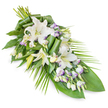 A serene sympathy spray composed of white lilies, lisianthus, and layered greenery lies on a stark white background, the elongated shape amplifying its sense of gentle movement and dignified farewell. The arrangement is fuller where the stems are bound at the top, then gradually narrows into a refined point, echoing the curve of a falling tear, a style often chosen for memorial services around Tufnell Park and along Holloway Road. Large oriental lilies serve as the main focal blooms: some are fully open, their broad petals smooth and slightly reflexed, framing pale green centres, while others remain partially or fully closed, their pale buds promising blooms that will open in the days ahead. Around these lilies, sprays of white lisianthus are threaded and layered, their smaller flowers displaying softly ruffled petals touched with a fine rim of lavender at the edges, creating a subtle, almost watercolor effect. Numerous tight lisianthus buds introduce texture, like tiny beads scattered among the greenery. The foliage is abundant and thoughtfully arranged. Dark, broad leaves spread beneath the flowers to anchor the composition, while selected leaves are artfully rolled and curved into sculptural accents that lift and support individual stems. Long, narrow fronds sweep outward and downward from one side, reinforcing the elongated line and lending a sense of natural grace, reminiscent of leaves moving gently in the breeze on Tufnell Park Road. The overall palette is cool and calm-white, green, and a whisper of lavender-conveying peace, respect, and remembrance. This floral tribute would sit beautifully on a casket, at a graveside, or beside a framed photograph during a quiet family gathering.