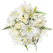 Seen from a calm overhead viewpoint against a pure white backdrop, this perfectly rounded bouquet gathers a harmonious chorus of white and cream blooms into a dense, symmetrical dome. Large white lilies command the composition with their trumpet-shaped petals unfurling wide; a few central stamens show delicate pale yellow and light green tones that add subtle contrast to the cool petals. Nestled between those lilies are numerous cream and ivory roses, many kept in tight bud or partly open so their layered, velvety spirals read as soft pockets of texture. Sprays of tiny white Baby's Breath (Gypsophila) are sprinkled through the arrangement like fine, cloud-like lace, softening the transitions between larger flowers and lending an airy, ethereal quality to the whole piece. Small, vivid green leaves peek out at the perimeter and beneath the blooms, offering a fresh, natural frame that prevents the white tones from feeling flat. The lighting is even and soft, emphasising petal translucence and the subtle shadow play that gives the bouquet depth despite the minimalist background. As a florist's creation this arrangement balances structure with tenderness: the lilies bring a clean, heady perfume while the roses contribute a warmer, honeyed scent, and the Baby's Breath keeps the feel light and celebratory. Locally, this style is often chosen for weddings, christenings or thoughtful gifts in Tufnell Park and nearby Dartmouth Park, where its quiet elegance suits both formal ceremonies and intimate neighbourhood gatherings. The overall effect is one of purity and timeless grace-an image that reads as both comforting and celebratory to anyone who knows the area.