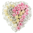 A large, romantic heart made entirely of fresh roses and baby's breath stands out sharply against a smooth white background, creating a serene, almost timeless tribute. The heart has a perfectly defined outline, softened only by the delicate mist of gypsophila that frames it. Down the exact centre runs an invisible line where the colours meet: on the left, a closely gathered bank of creamy ivory to pale lemon roses, their petals unfurling in soft, rounded spirals; on the right, a matching field of medium pink roses, each bloom full and unblemished, their tone gentle rather than bright. The two sides feel like different chapters of the same story, joined together to form one complete symbol of love. Fine stems of white baby's breath weave between the blooms, filling small spaces and edging the heart with a feathery, cloud-like border, adding lightness to the dense, velvety roses. The flowers look freshly arranged, as though prepared that morning by a skilled florist in Tufnell Park, ready to be carried to a quiet funeral service or laid at a graveside in a nearby cemetery. There are no ribbons or text, only the natural shapes and colours of the flowers speaking on behalf of the sender. This design would be chosen by families across Tufnell Park, Archway, and nearby Highgate wishing to send a heartfelt final message, its gentle pinks and creams offering both comfort and remembrance during a time of loss.