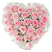 A densely packed, heart-shaped bouquet made almost entirely of soft, pastel pink roses set against a pure white background. The image is intimate and tactile: dozens of velvety roses sit shoulder to shoulder, their petals ranging from a whisper of blush at the outer edges to a warmer rose-pink in the centers. Some blooms are tightly furled like satin buttons; others are opening into gentle spirals that reveal layered, feathered petals. Woven through and around the roses are clouds of tiny white baby's breath (Gypsophila), their fine sprays and pinhead blossoms lending a lacy, ethereal texture that brightens the overall form and accentuates the heart silhouette. Bright, even lighting removes shadows and sharpens the petals' soft surface, so you can almost sense the cool, dewy fragrance and the delicate give of each bloom under a thumb. The composition reads as both meticulous and tender - every stem carefully positioned to preserve symmetry while keeping a natural, hand-arranged feel. Emotionally, the piece radiates quiet devotion: a gift meant for anniversaries, proposals, Valentine's remembrances, or to offer solace in moments when words fall short. The white backdrop and the airy gypsophila give the arrangement a whisper of innocence and hope, while the pink roses communicate intimacy and lasting affection. A florist's eye will note the balance of texture and tone, the careful spacing that avoids gaps without over-compressing the blooms, and the fresh, just-cut look that signals attentive handling and timely delivery within the local Tufnell Park area - perfect for presenting to someone you cherish on a day you want remembered.