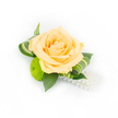 A delicate, hand-assembled boutonniere set against a pristine white backdrop, this small corsage centers on a single, full-blown rose in a soft peach-to-cream gradient that reads like apricot champagne. The rose's many layered petals curl inward at the heart, each petal catching the bright studio light and showing subtle tonal shifts from pale peach at the outer edges to a slightly deeper, warm apricot toward the centre. Nestled low and to the left of the rose, a lime-green button chrysanthemum introduces a playful, cushiony texture - a compact globe of tightly packed florets whose vivid spring green contrasts sharply with the rose's gentle warmth. Dark ruscus leaves create a structured, glossy base while variegated, elegantly curled foliage with pale green stripes frames the bloom, their folded shapes adding movement and a contemporary sculptural quality. From the bottom right of the arrangement a short strand of lustrous white pearls spills softly, the smooth beads catching the light like tiny dewdrops and lending an understated vintage elegance. The composition is crisply lit and photographed on white, so shadows are minimal and every texture - satiny petal, glossy leaf, and polished pearl - reads clearly. The overall impression is quietly celebratory: refined enough for a wedding, prom, or formal evening, yet fresh and modern in its colour contrasts. Imagined by a florist with an eye for balance, this piece suggests the scent of soft rose wrapped in green leaves and the gentle confidence of occasion dressing, suitable for anyone seeking a small, artful accent for a special day in Tufnell Park or nearby neighbourhoods.