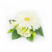 This elegant corsage reads like a quiet promise: a single, fully open white Gerbera daisy anchors the composition, its broad, creamy petals unfurling in precise symmetry around a textured yellow-green centre that breathes life into the arrangement. Around it, soft Eustoma (lisianthus) blooms and buds bend gently, their ruffled, buttery-ivory petals layered with a delicate translucence that suggests the tenderness of early morning light. A smaller layered chrysanthemum or daisy peeks from the upper right, adding a note of fullness without distracting from the central Gerbera. Several slim, pale green lisianthus buds, some tightly furled and others just beginning to reveal their inner petals, create quiet movement and the anticipation of growth. Broad, deep emerald leaves form a protective frame, their waxy surfaces catching light and setting the pale flowers against a lush, botanical backdrop. Tiny, pearlescent beads are discreetly threaded into the foliage at the right, catching the eye like dewdrops and lending a subtle, formal sparkle suited to weddings or evening events. The minimal, bright white background keeps the focus on the soft white and pale yellow palette, the clean composition and the tactile contrast between velvety petals and glossy leaves. As a florist accustomed to dressing lapels for ceremonies around Tufnell Park and nearby Dartmouth Park, I imagine this piece pinned to a jacket at a spring wedding, the cool, fresh scent of white blossoms and green leaves rising gently, radiating calm and understated elegance. The overall effect is refined and serene, a small, handcrafted emblem of celebration and quiet beauty.