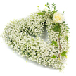 A heart-shaped wreath composed almost entirely of cloud-like white Baby's Breath (Gypsophila), each tiny blossom packed tightly to form a soft, pillowy contour that reads as pure and weightless. The dense clusters create a textured surface that seems to glow with pearly highlights under soft light; up close you can imagine the faint, powdery scent of the gypsophila and the gentle rustle of stems when the piece is carried. Near the upper right curve a single creamy-white rose opens in a neat spiral, its outer petals just beginning to unfurl and catching a little more shadow, giving the heart a quiet focal point of warmth and devotion.

Glossy variegated ivy and slender, eucalyptus-like sprigs are woven through and allowed to trail softly along the right side, their deep green tones and leathery textures adding contrast and depth to the otherwise monochrome composition. The greenery interlaces with the Baby's Breath in a way that feels intentional yet organic, as though the wreath has been gathered from a calm corner of a garden near Hampstead Heath and arranged with steady, respectful hands. Set against a pure white background, the arrangement's delicate details-tiny buds, leaf veins, and the rose's subtle cream-stand clear and dignified. Crafted for funeral services, memorial tables, or as a sympathy piece, this heart-shaped tribute conveys purity, tenderness, and enduring remembrance, a simple, eloquent gesture of solace for those in Tufnell Park and neighbouring communities.